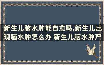 新生儿脑水肿能自愈吗,新生儿出现脑水肿怎么办 新生儿脑水肿严重吗会影响宝宝发育吗